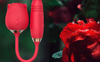 Best Rose Toys for Women - The Rose Toys